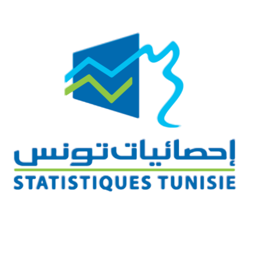 Preview of National Institute of Statistics -Tunisia