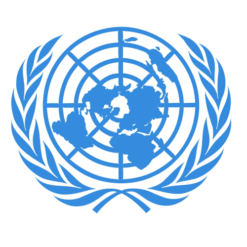 Preview of The United Nations